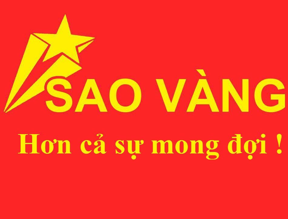 Công ty TNHH Sao vàng Đại Việt